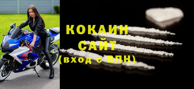 где можно купить   Новосиль  COCAIN Fish Scale 