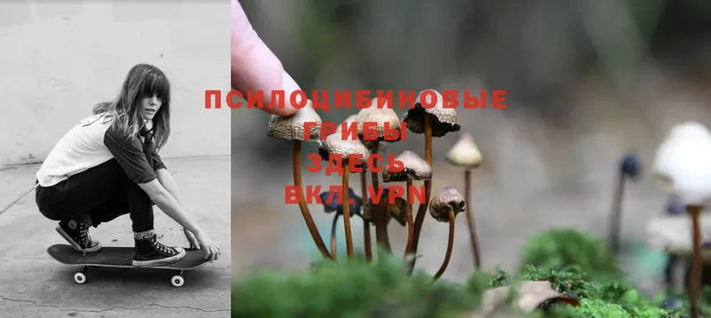 Галлюциногенные грибы Magic Shrooms  Новосиль 